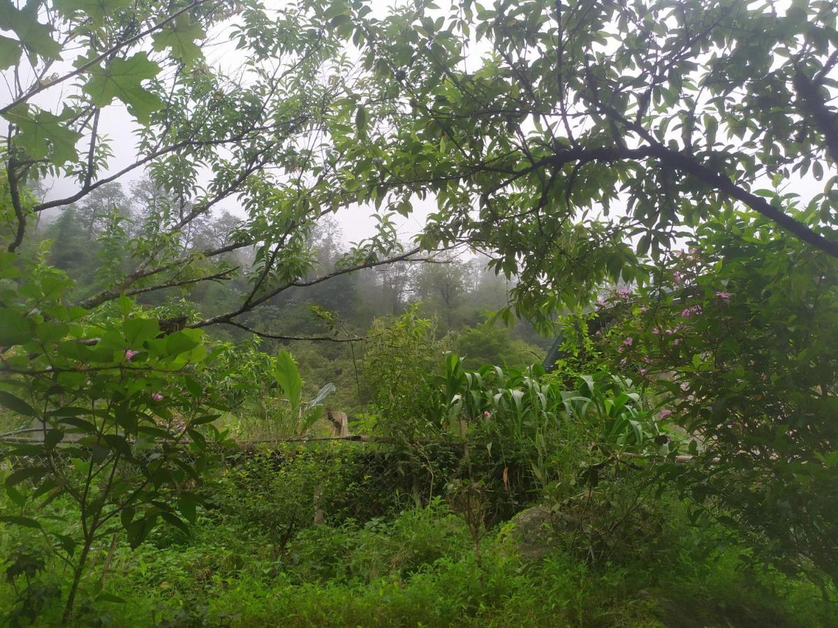 Chapi Dreamy Sa Pa