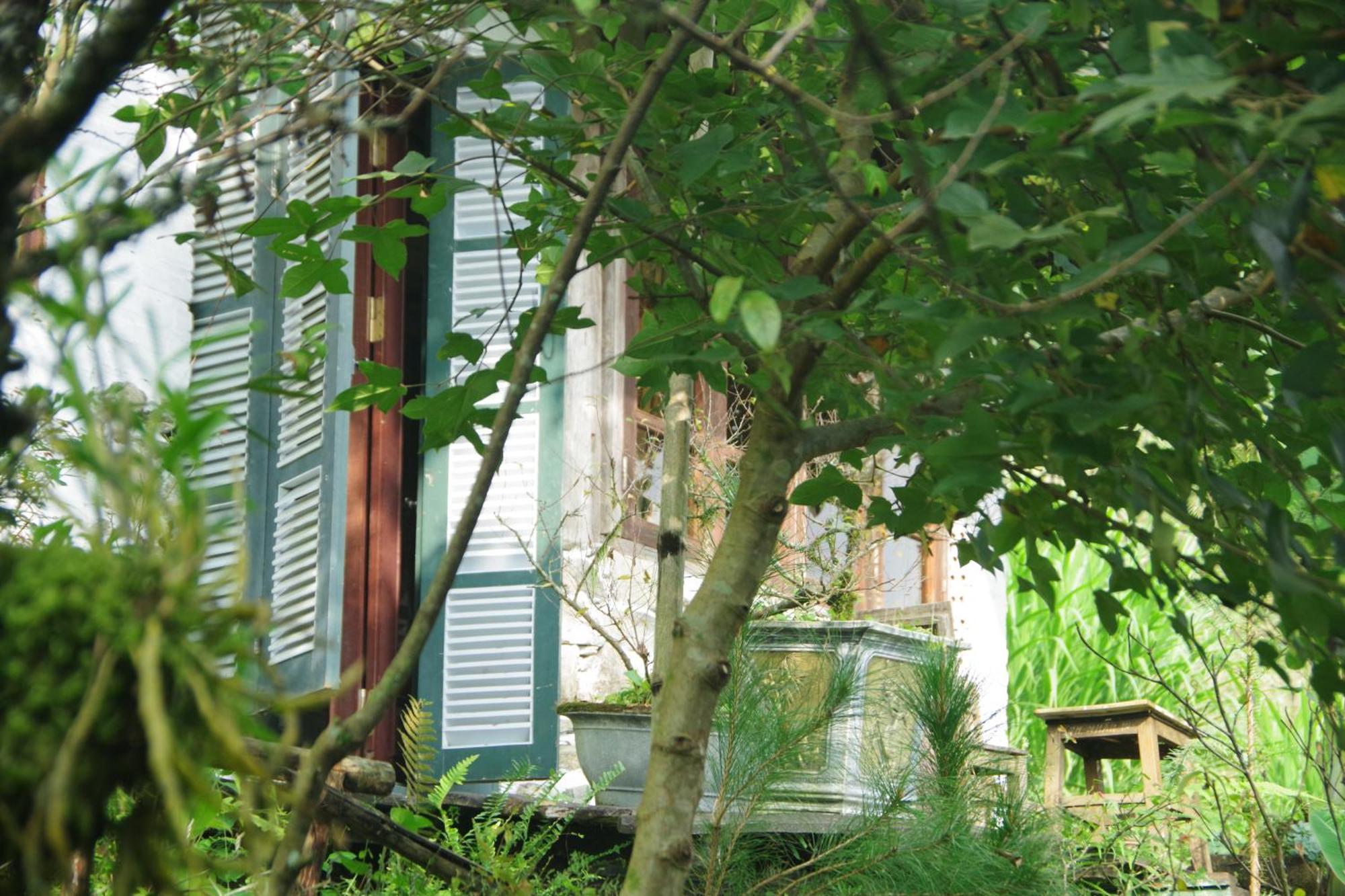 Chapi Dreamy Homestay *