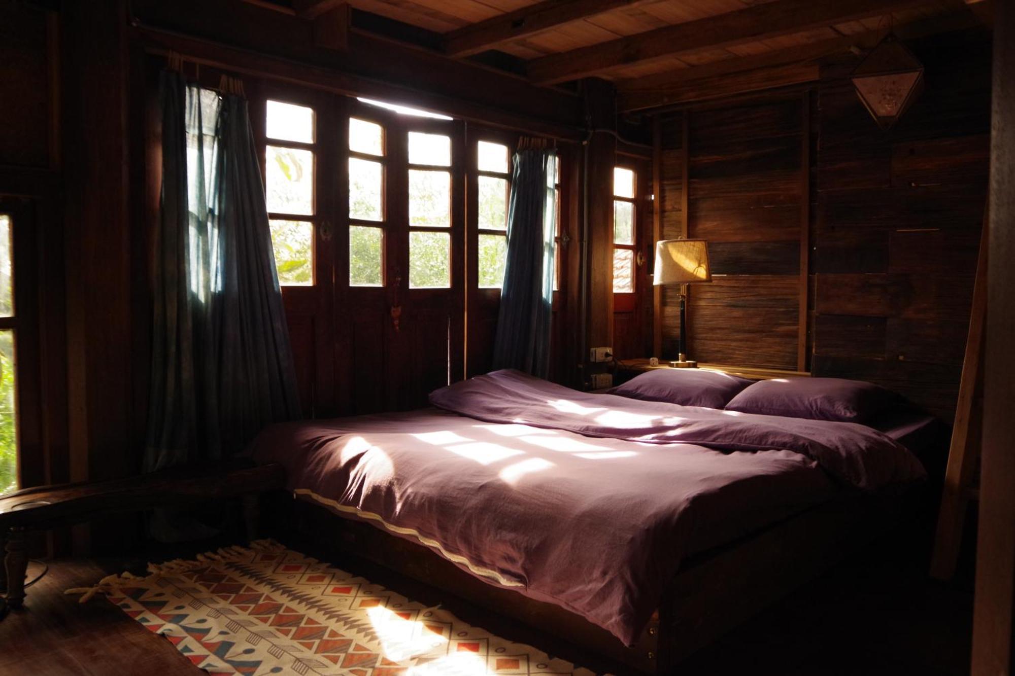 Chapi Dreamy *