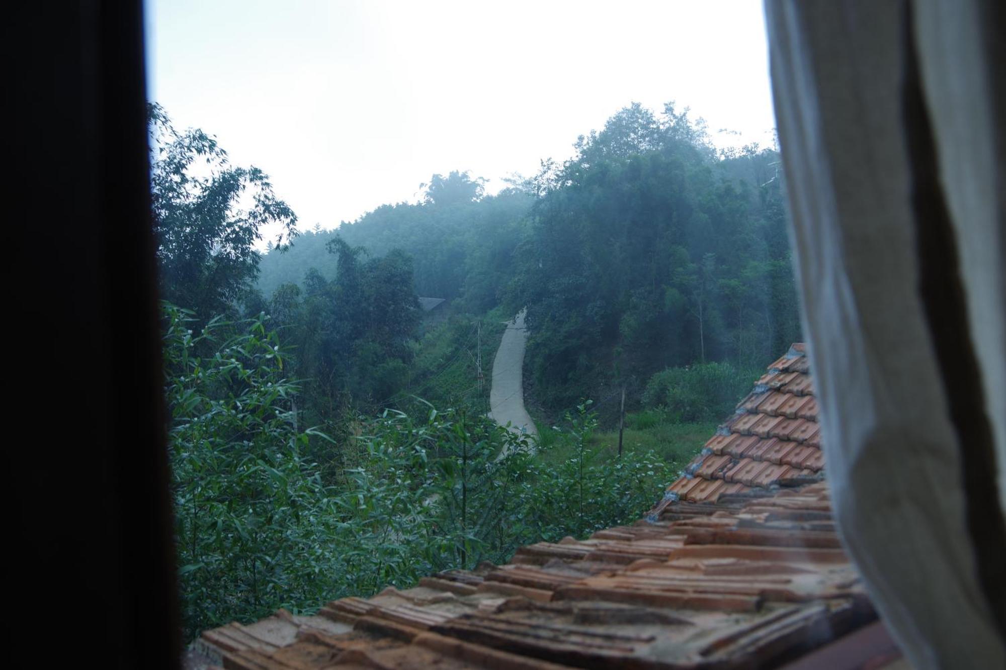 Homestay Chapi Dreamy