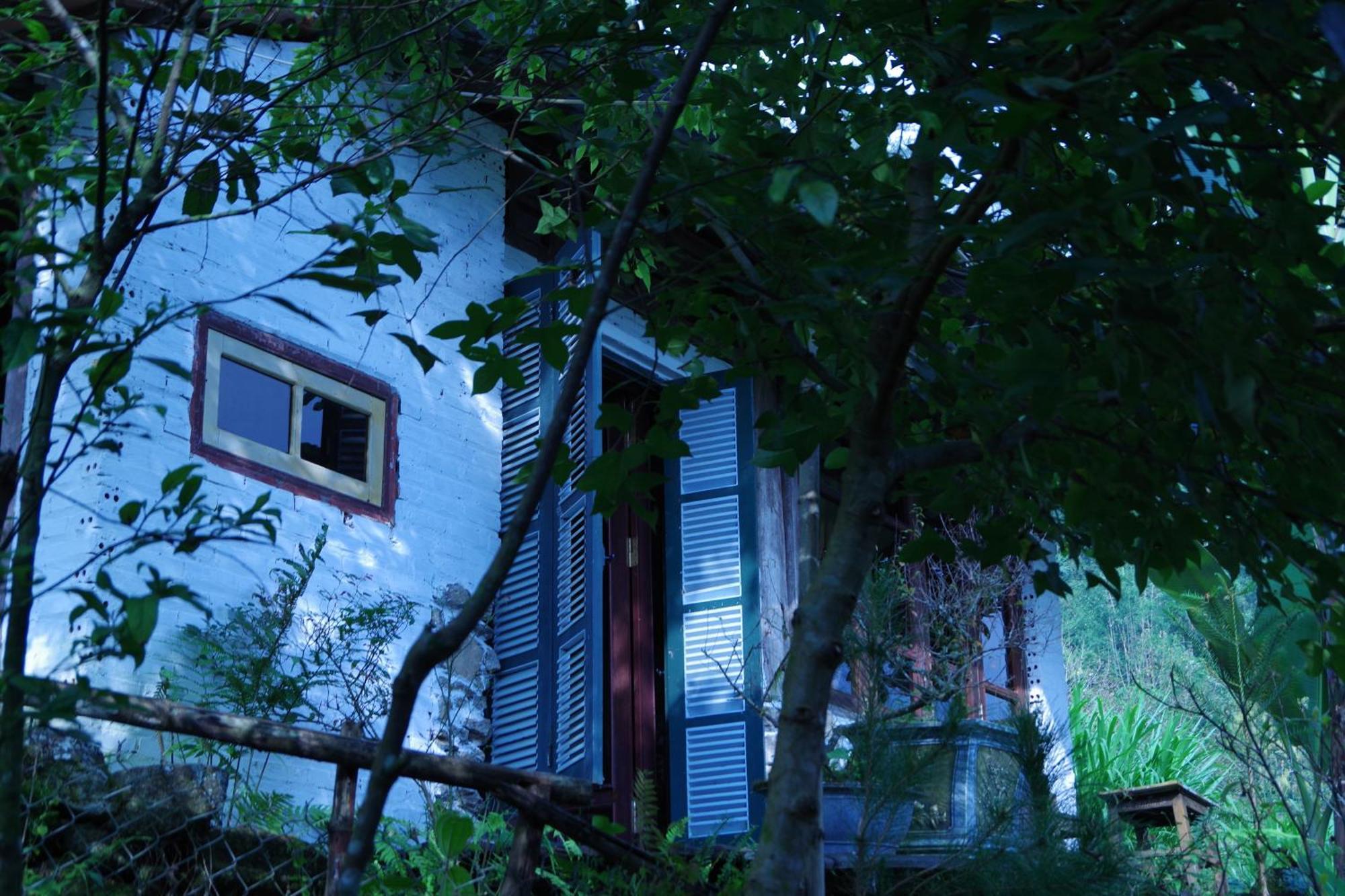 Homestay Chapi Dreamy