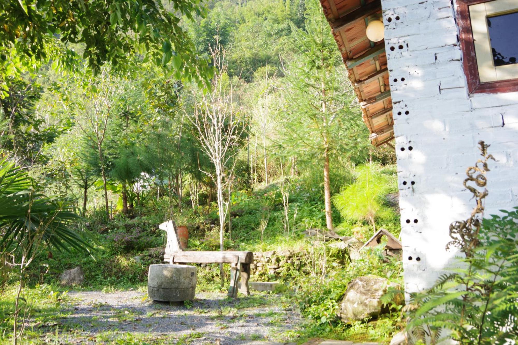 Chapi Dreamy *