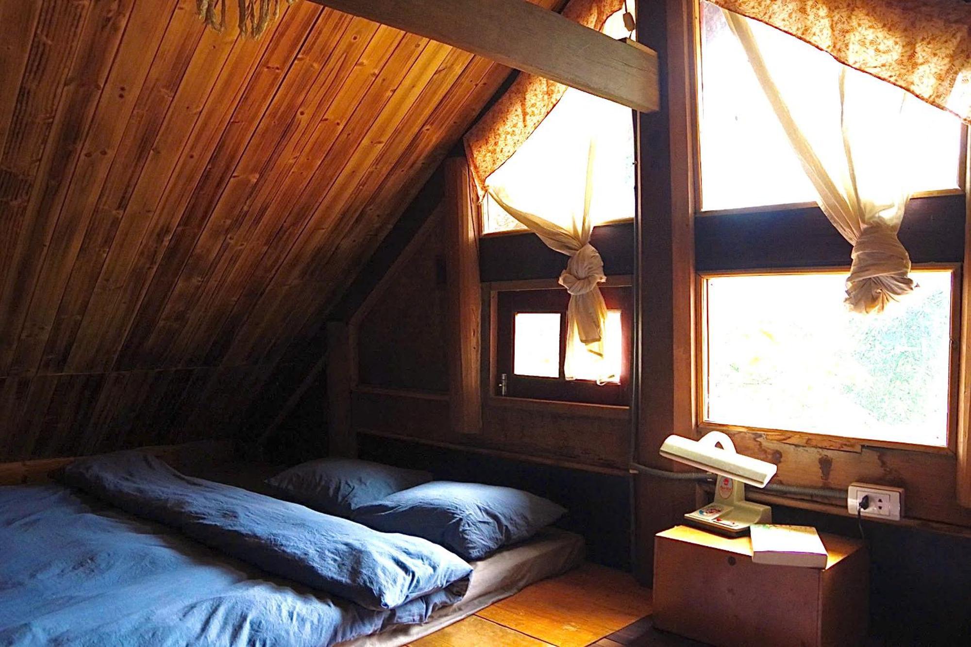 Homestay Chapi Dreamy *